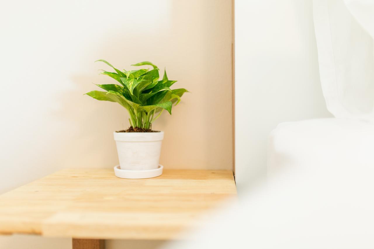 Habitat Hotel Чиангмай Екстериор снимка